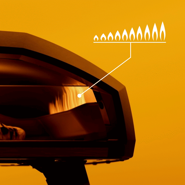 טכנולוגיית הגז G2